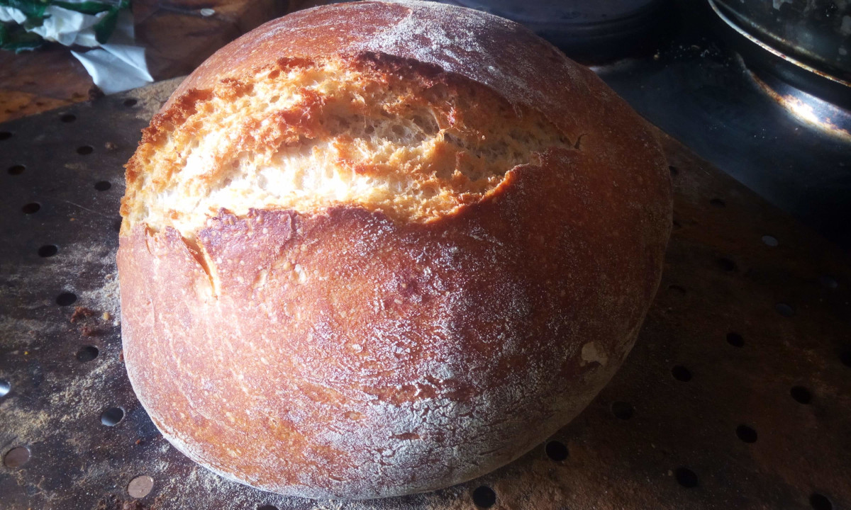 Fresh organic sourdough bread